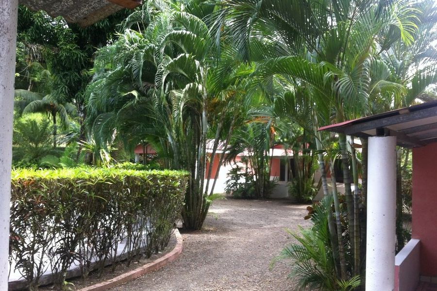 foto-3