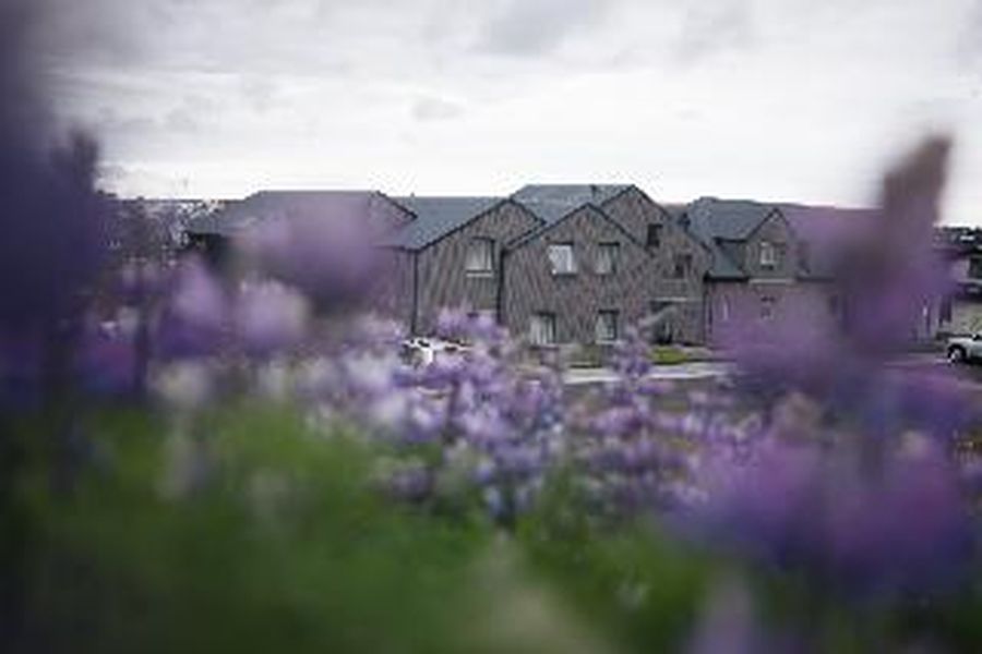 photo-1