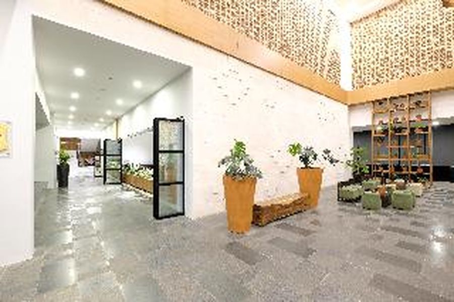 foto-3