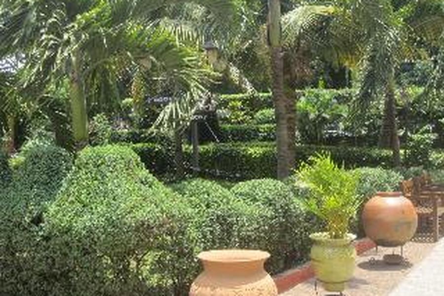 foto-1