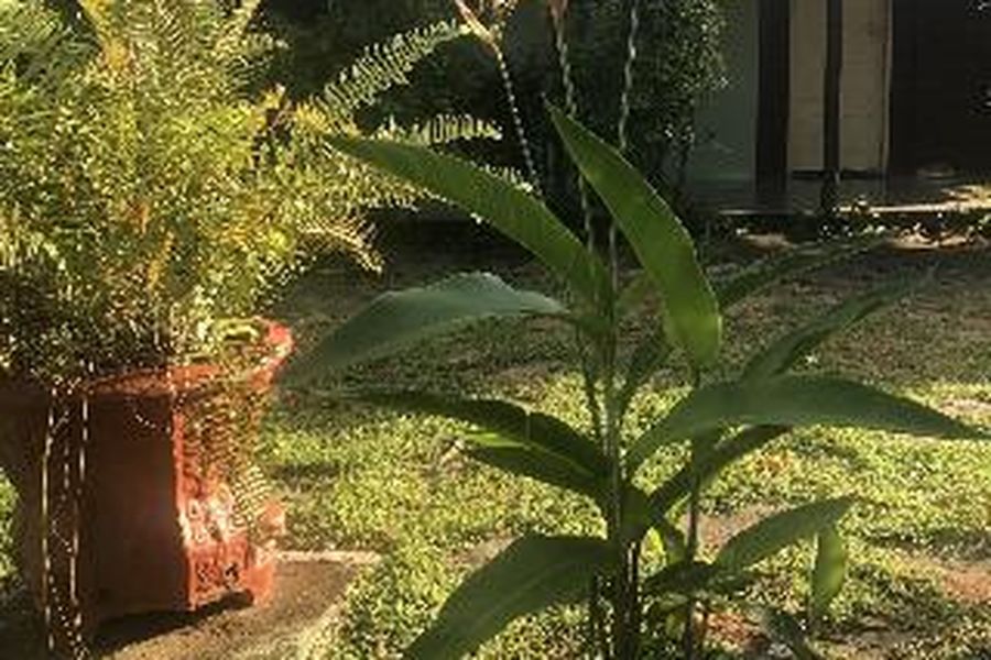 foto-3