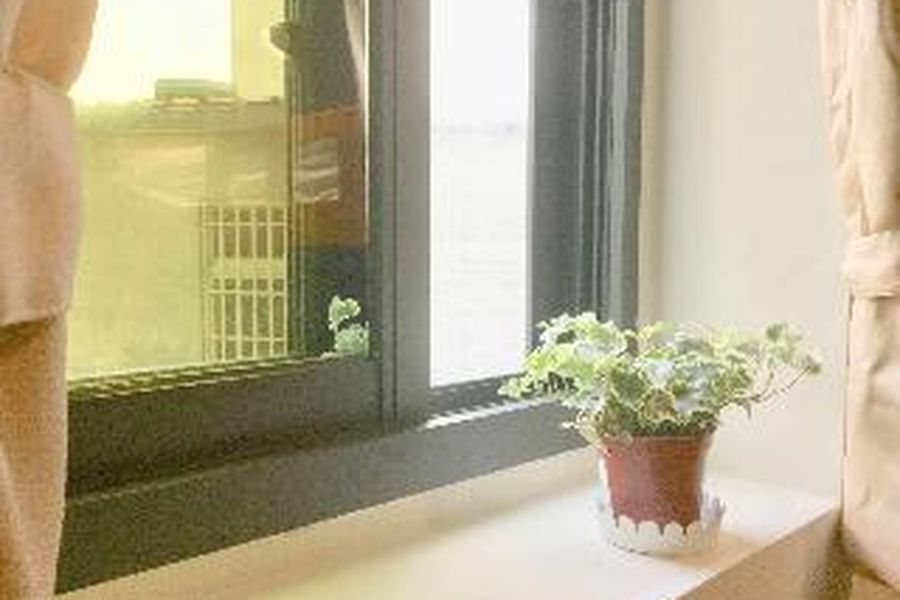 foto-3