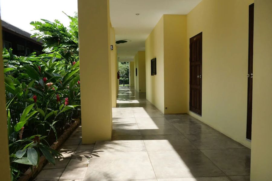 photo-1
