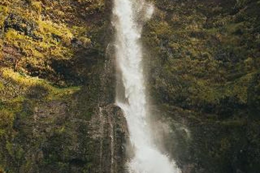 foto-3