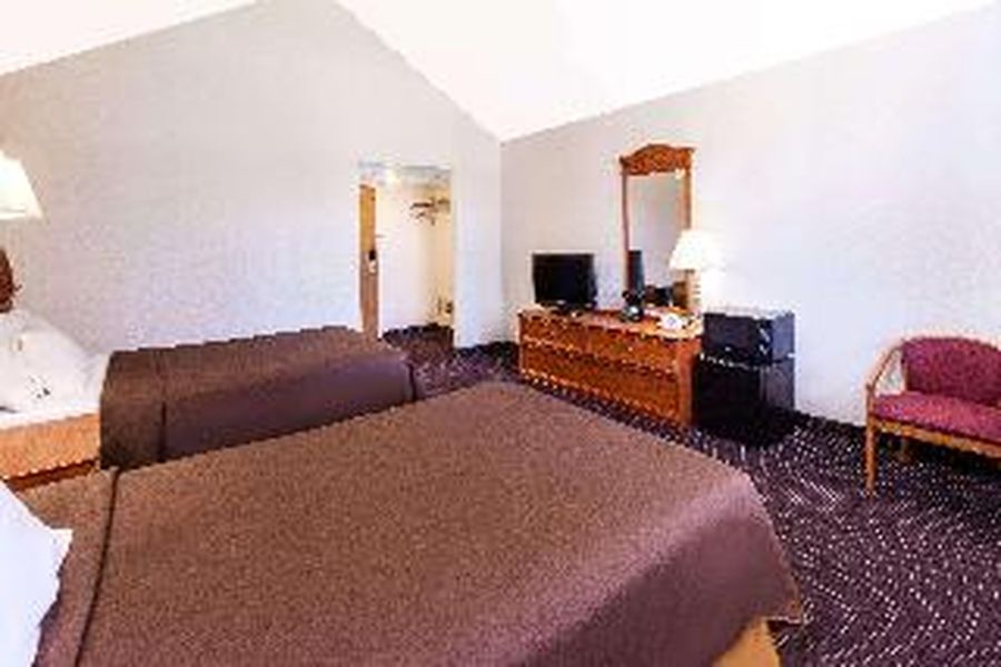 photo-1