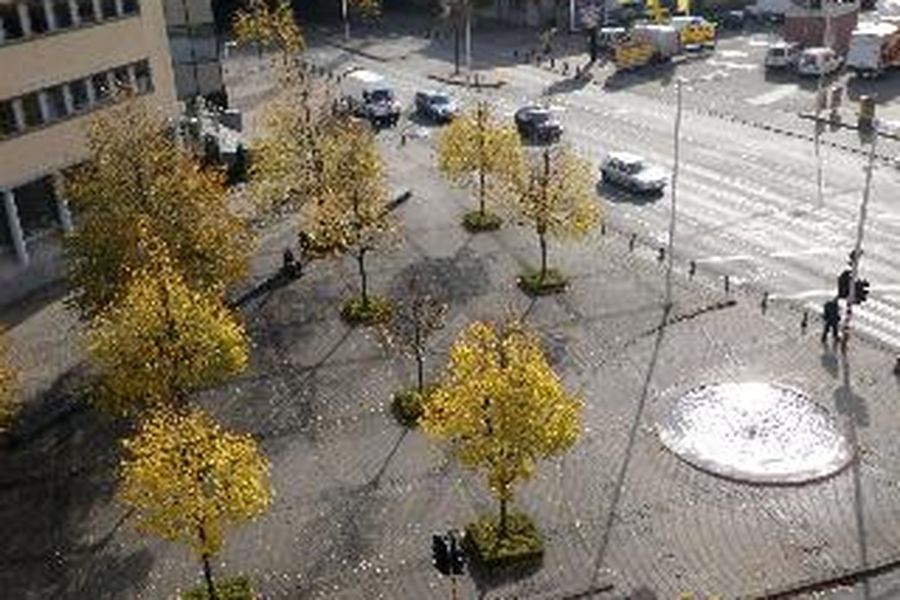 foto-2