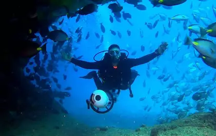 Experiencias de buceo en Sal