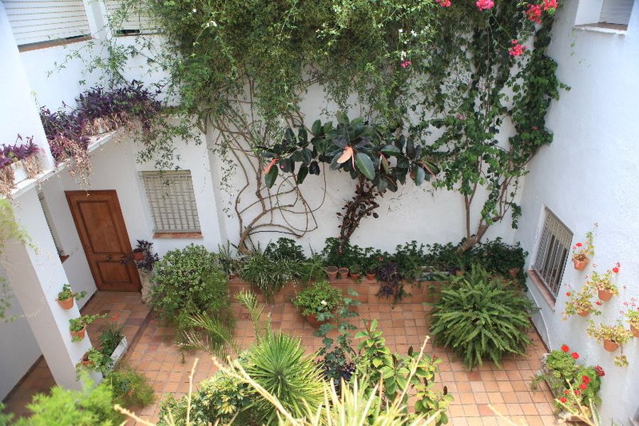 photo-1