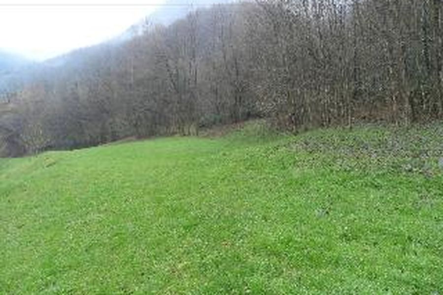 foto-0