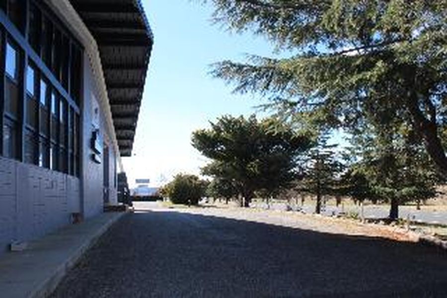 foto-1