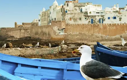 Essaouira: Visita guiada de un día + Recogida en Marrakech