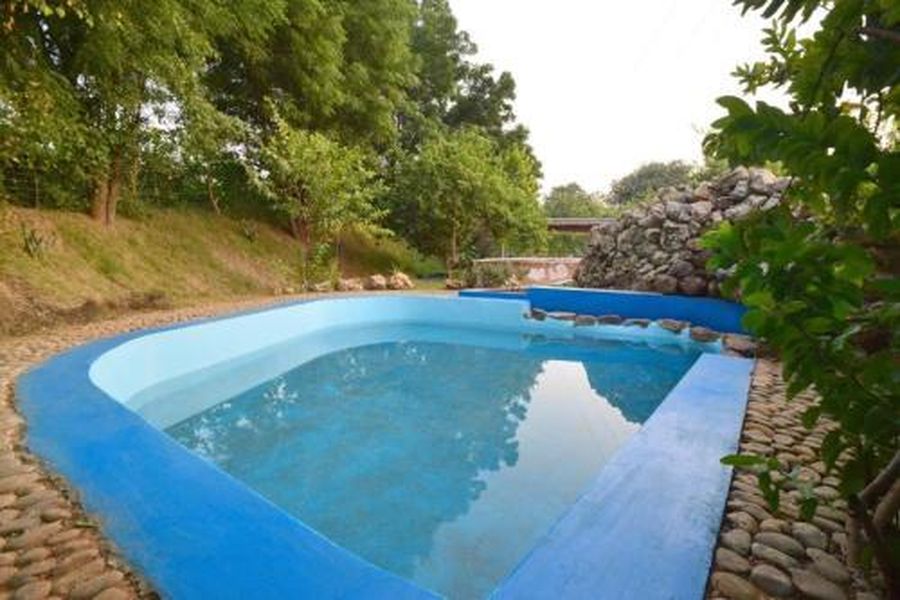 photo-2