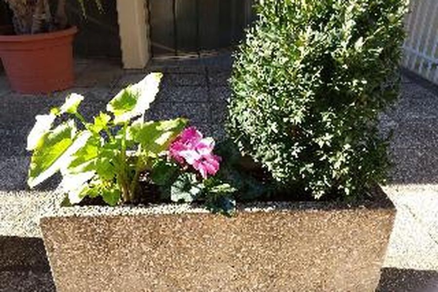 foto-2