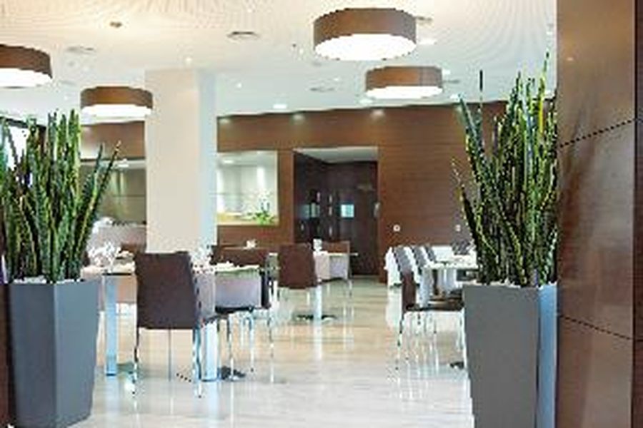 foto-1