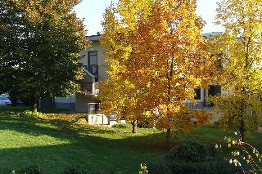foto-1