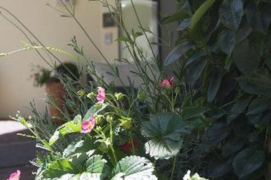 foto-2