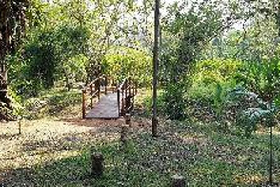 foto-3