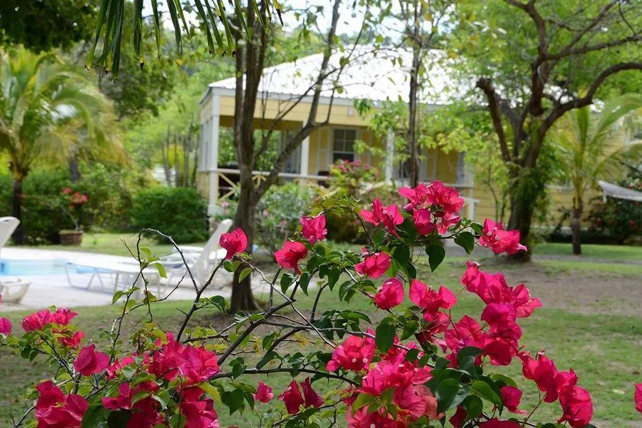 foto-3