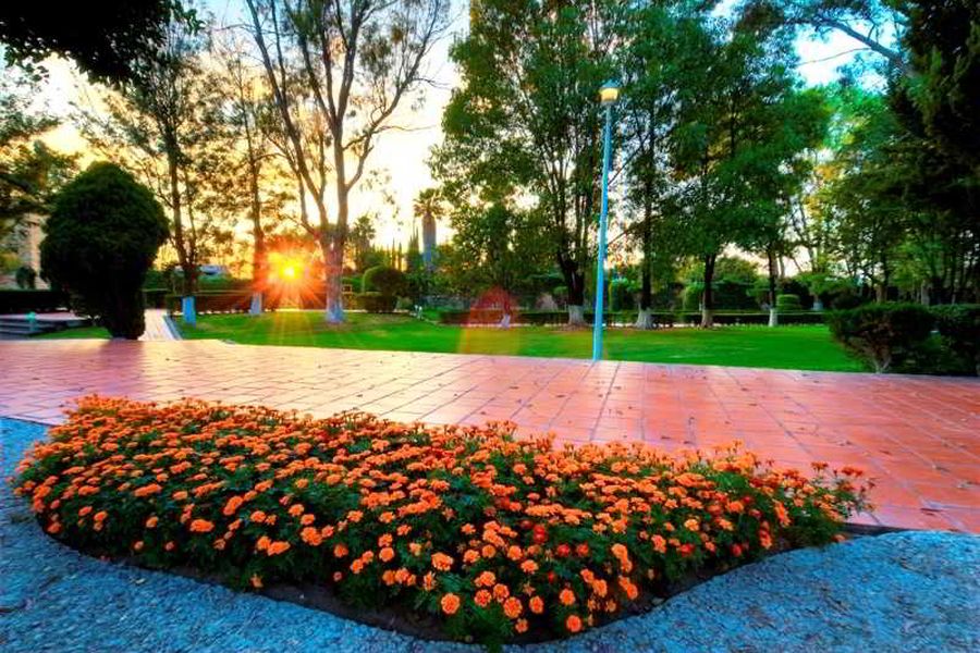 foto-2
