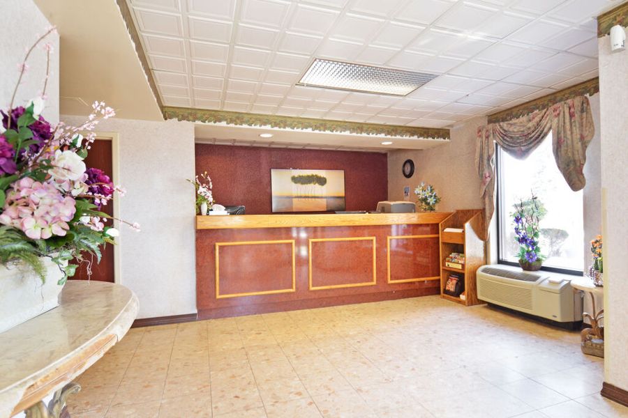 photo-1