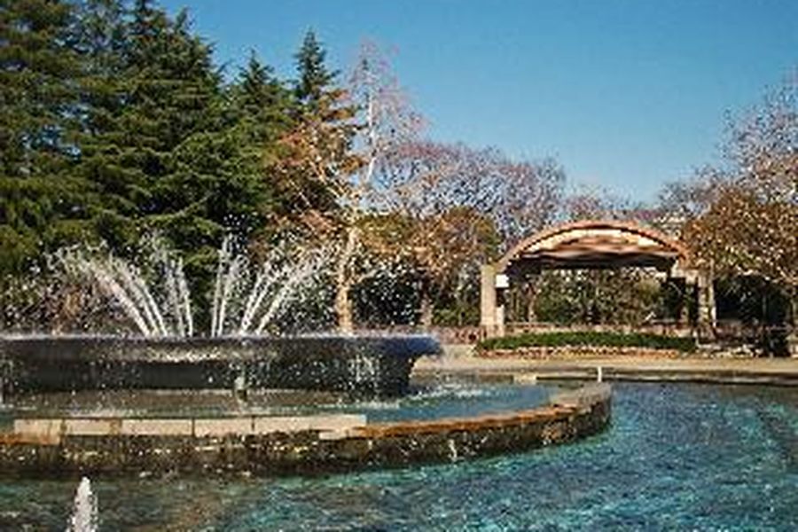 photo-3