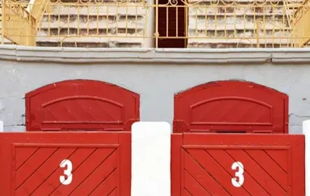 Plaza de toros de Alicante: visita guiada privada