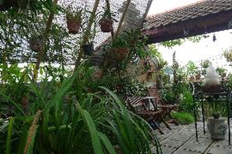 foto-3