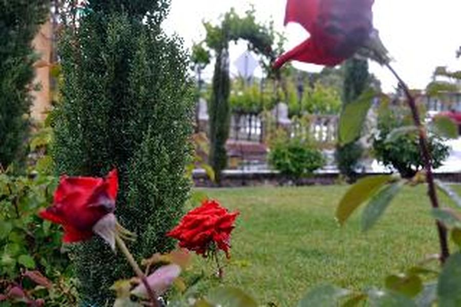 foto-1