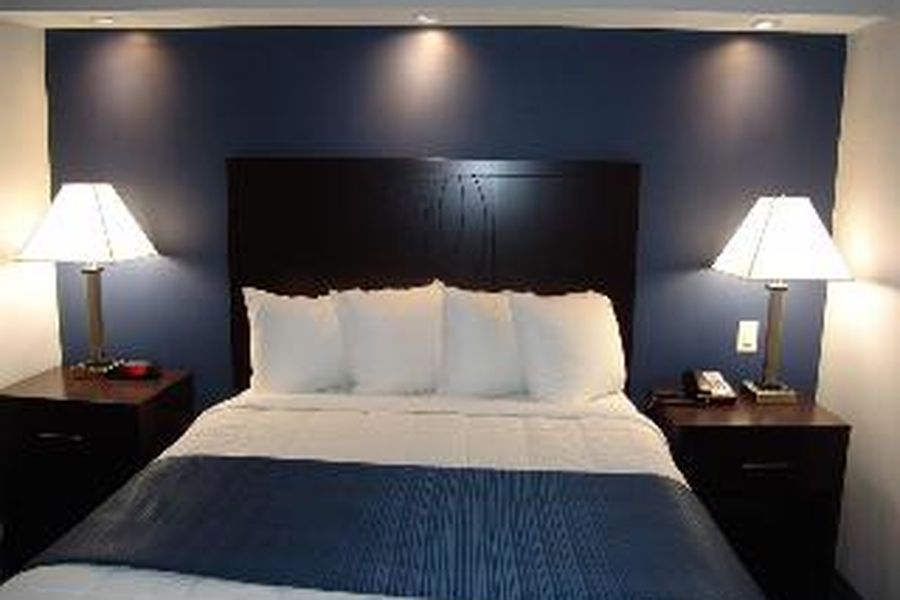 photo-3