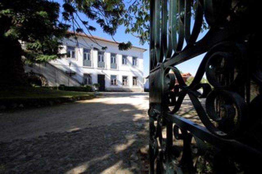 foto-1