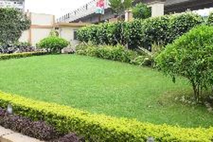photo-2