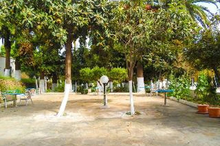 photo-3