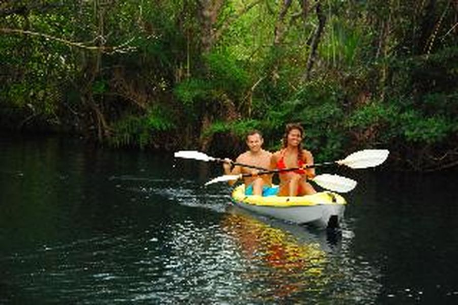 photo-1