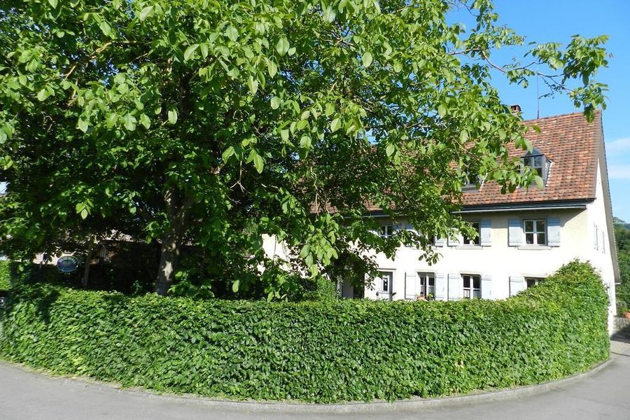 photo-0