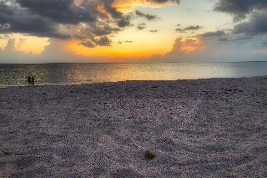 photo-2