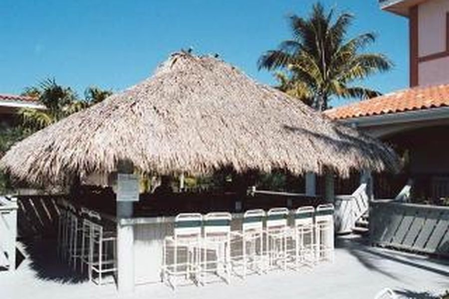 photo-1