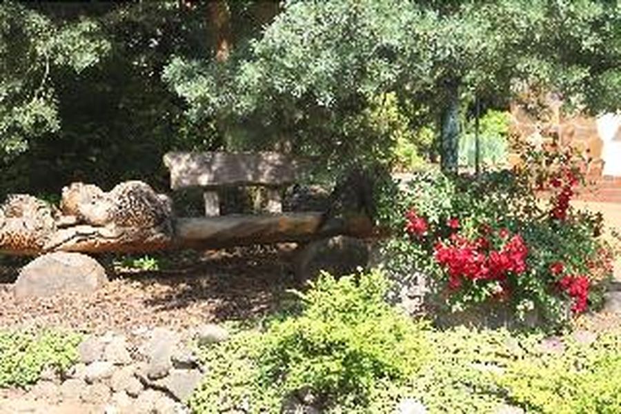 foto-3
