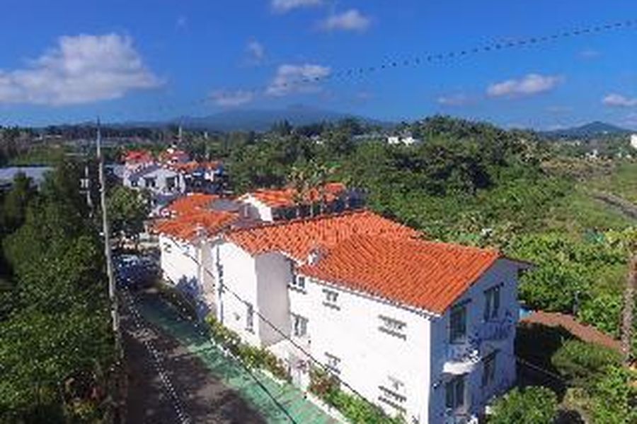 foto-2