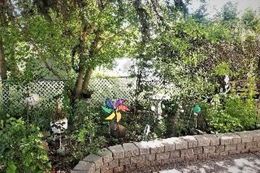 photo-2