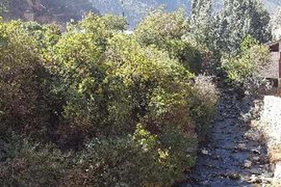 foto-3