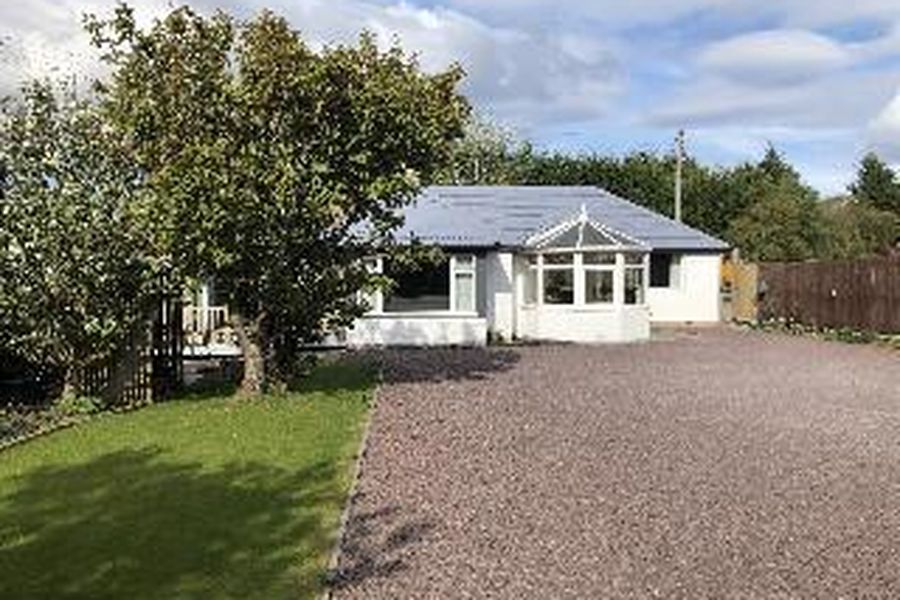 photo-1