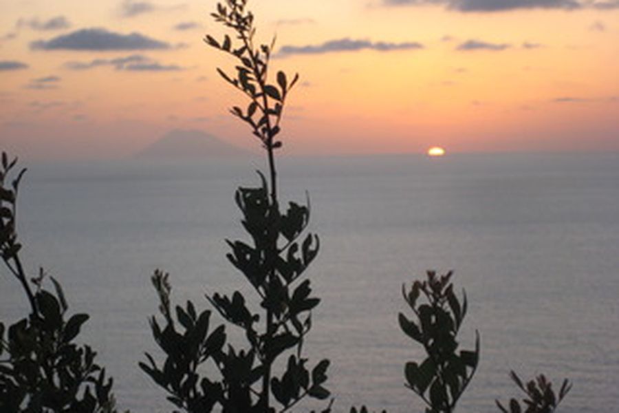 photo-0