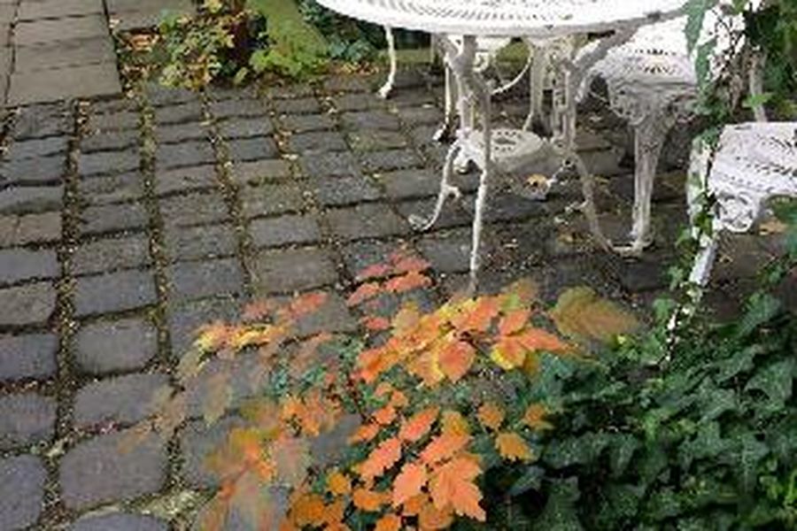 foto-2
