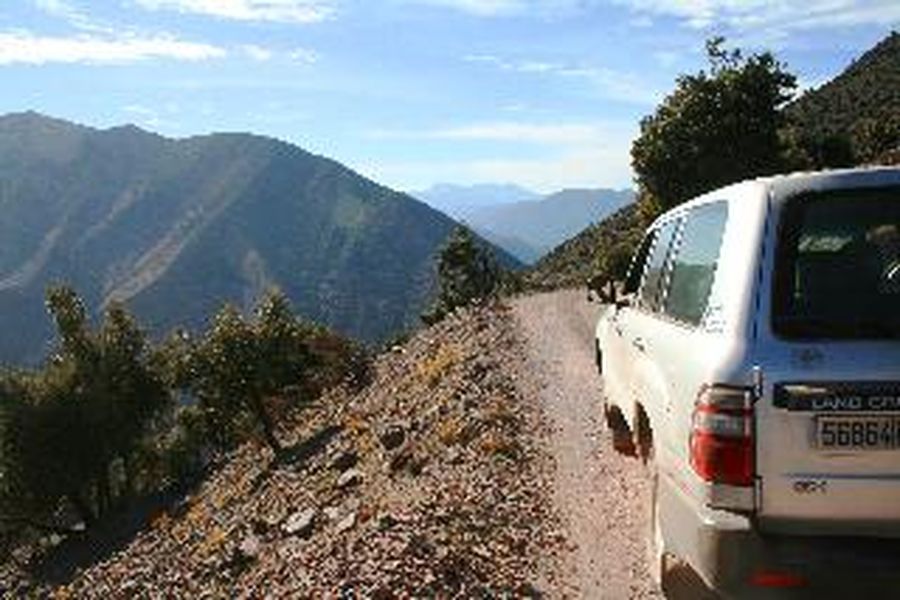 photo-3