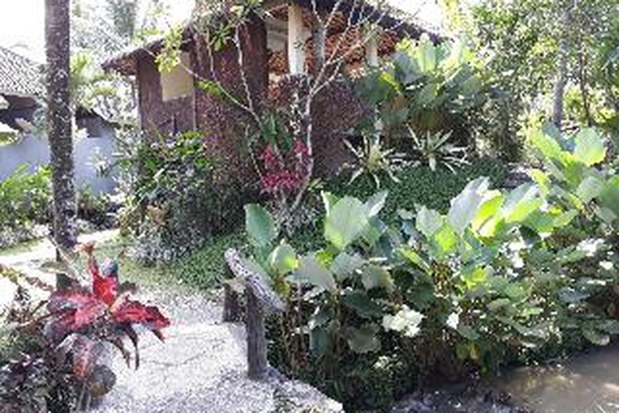 photo-2