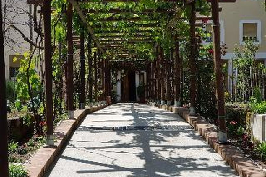 photo-2