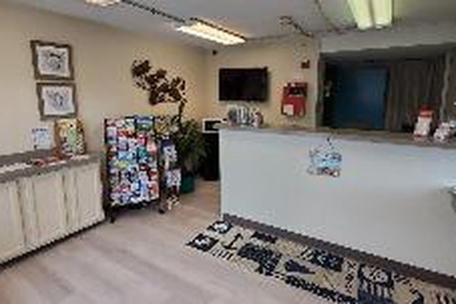 photo-3