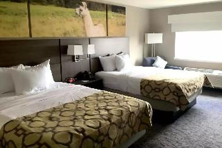 photo-1