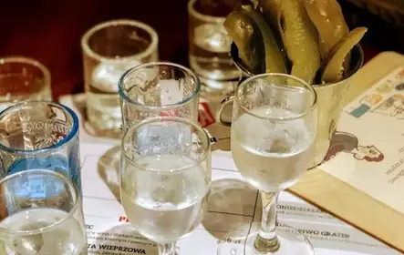 Warsaw: The Vodka Tasting Xperience