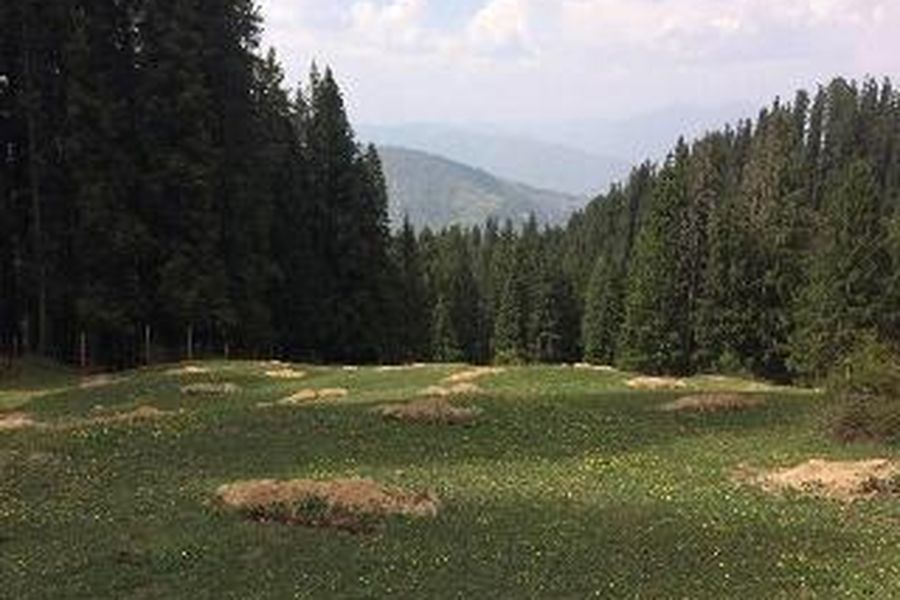 foto-1